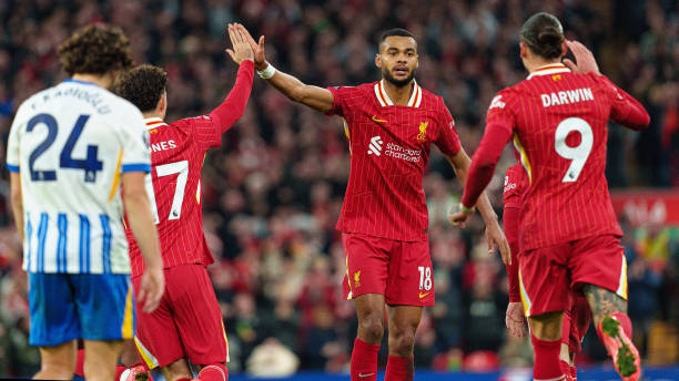 的积分不仅 的积分不仅