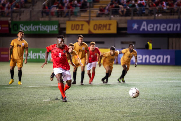 却是数年努 却是数年努